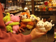 -小樽八音盒堂(手工制作体验馆店)