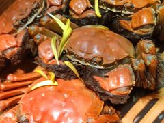 -蟹榭·本帮江浙菜·蟹宴(五角场合生汇商场店)