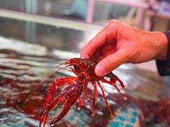 -巽寮印象美食部落餐厅·海鲜·地方特色菜(惠州体验店)