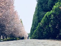 -秦始皇帝陵博物院-丽山园