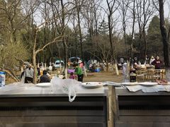 -青龙湖公园