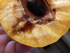 -乐乐鲜果水果超市(河北店)