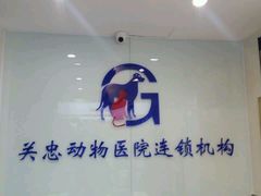 android_upload_pic-瑞派·关忠动物医院·猫专科·犬专科(三环新城店)