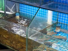 -面道赞宁海海鲜面(迎凤街店)