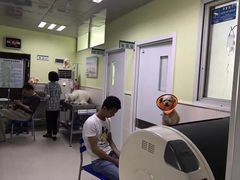 -总动员动物医院(宝丰院店)