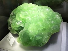 -湖南省地质博物馆