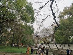 -西园戒幢律寺