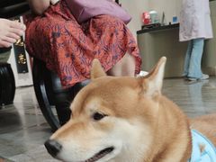 -南京君和堂中医门诊部