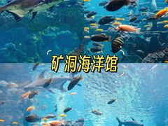 -长鹿旅游休博园