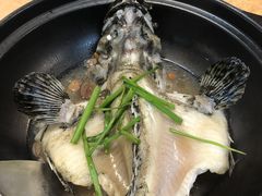 -ZF Seafood Restaurant 卓峰海鲜餐