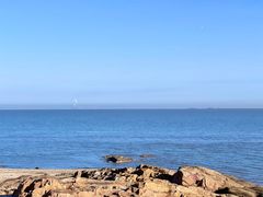 -华阳海鲜市场(府西路店)