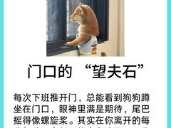 -亚宠动物医院·芭比堂宠物医院(盘龙店)