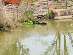 -径山花海