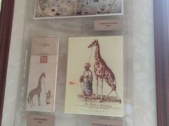 -北京动物园-畅观楼