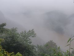 -铁山坪森林公园