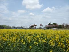 -桤木河湿地公园