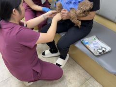 -美联众合动物医院·24h转诊中心