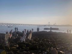-星海湾跨海大桥