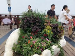 -老虎石海上公园