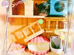 -藦茜花园宠物主题亲子互动体验馆(国顺东路店)