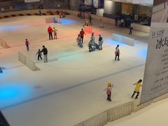 -TheRink大零溜冰场(IFS国金中心店)