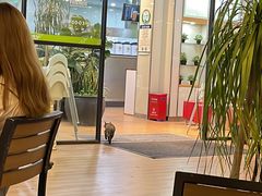 -813芭依珊 BAESAn(皇冠十畝地店)