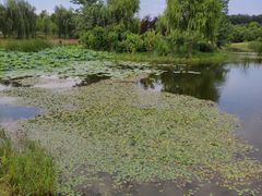 -东郊湿地公园