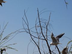 -捞渔河湿地公园