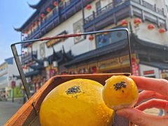 -稻香村(观前街店)