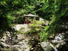 -大鄣山卧龙谷景区