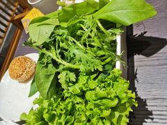 蔬菜拼盘-东来顺铜锅炭火涮肉(上地华联店)