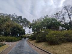 -柳侯公园