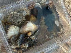 -嵊泗基湖沙滩