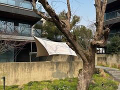 -木守西溪溪隐餐厅