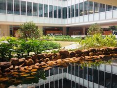 -香港大学