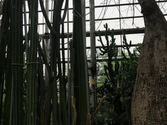 -南山植物园