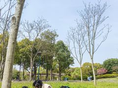 -嘉北郊野公园