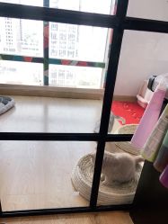 -英刺青 纹身 洗纹身