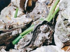 竹篮生蚝-全渔村小海鲜