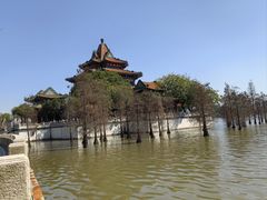 -顺峰山公园