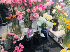 -植物学家的女儿(北马道巷店)