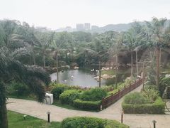 -童趣廊·儿童波波池·海洋球(长隆横琴湾酒店)
