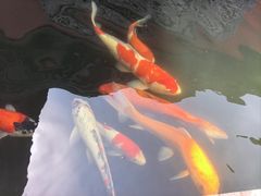 -启明龙王庙