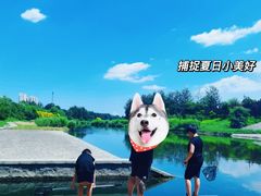 -石榴庄公园