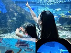 -海合安武汉极地海洋公园