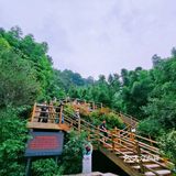 闯入熊猫🐼睡眠王国？[害羞]