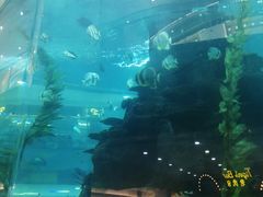 -鸿通城购物中心