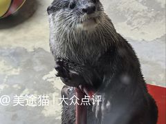 -太平洋海底世界