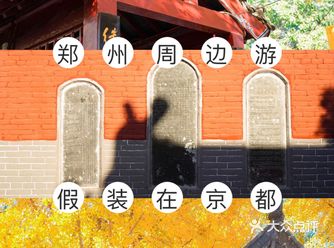 郑州周边游｜假装在京都｜一起看绝美银杏
