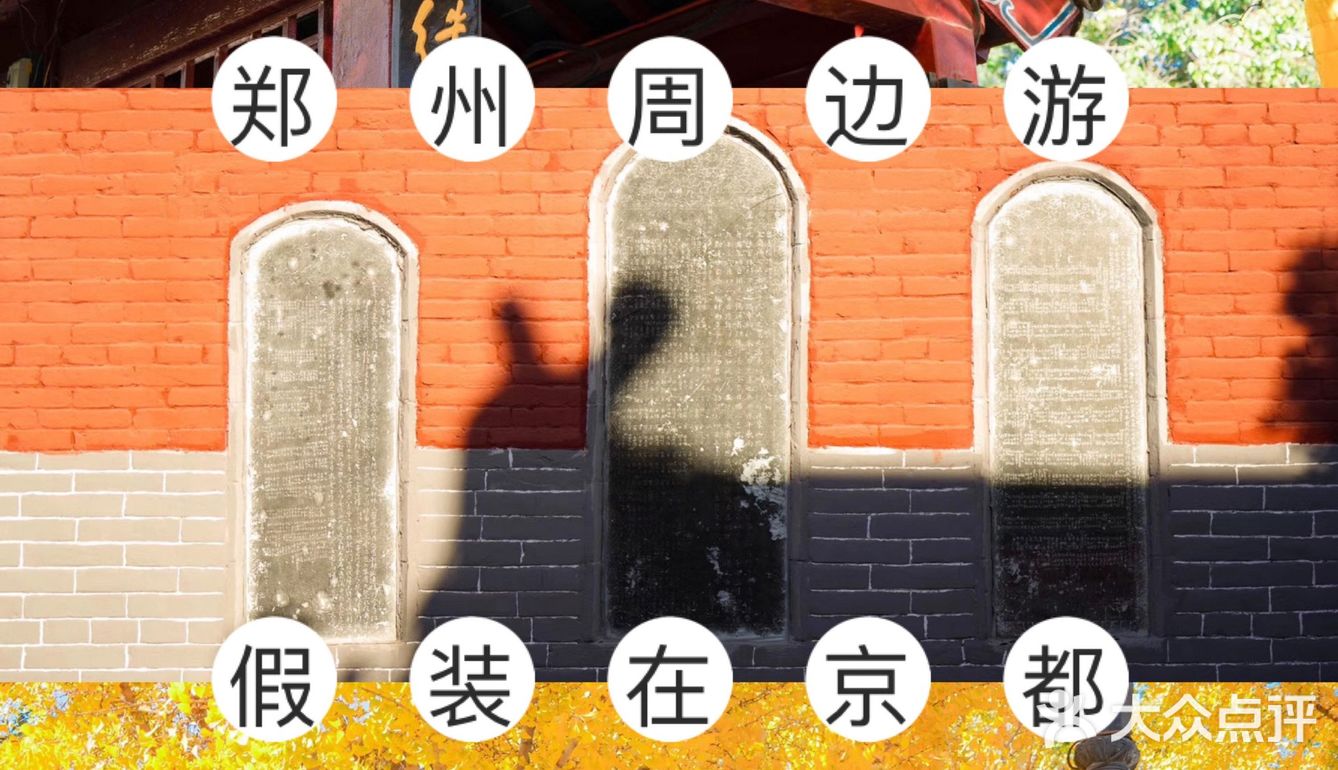 郑州周边游｜假装在京都｜一起看绝美银杏